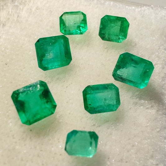 LOTE ESMERALDAS CUADRADAS MEDIANAS - Austral Esmeraldas