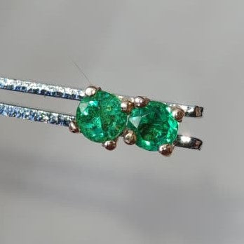 ARETES ESMERALDA - Austral Esmeraldas